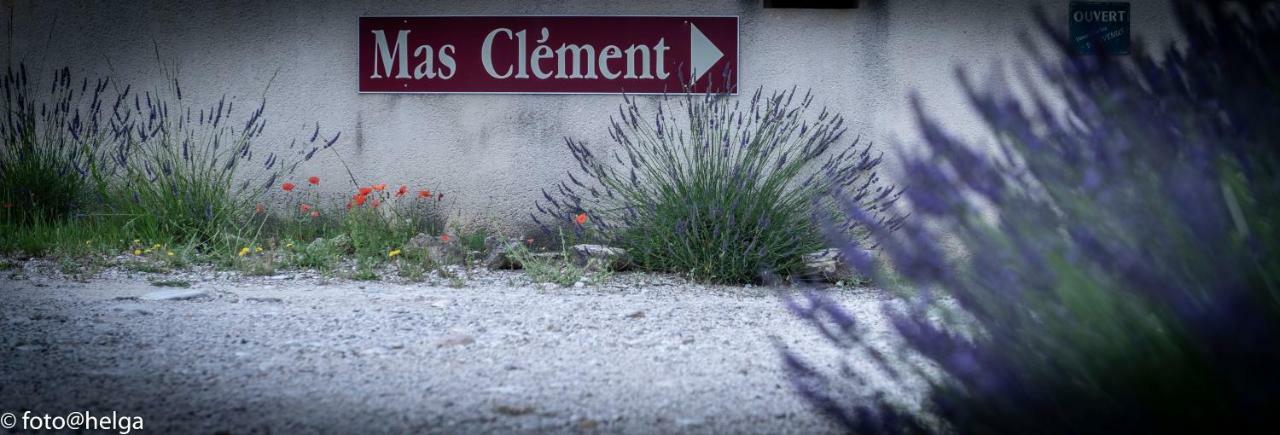 Mas Clement - Chambre Et Table D'Hotes LʼIsle-sur-la-Sorgue Dış mekan fotoğraf
